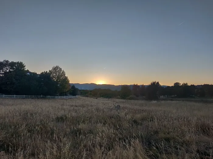 Fido's Field at Foothills Park 4