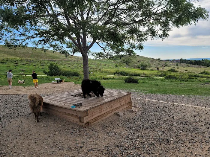 Forsberg Off-Leash Dog Park 8
