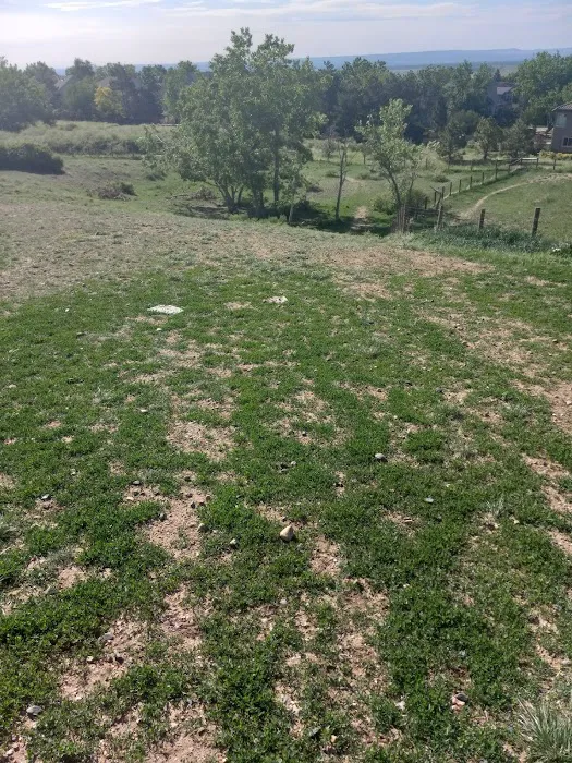 Forsberg Off-Leash Dog Park 2
