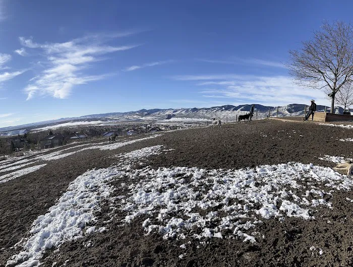 Forsberg Off-Leash Dog Park 7