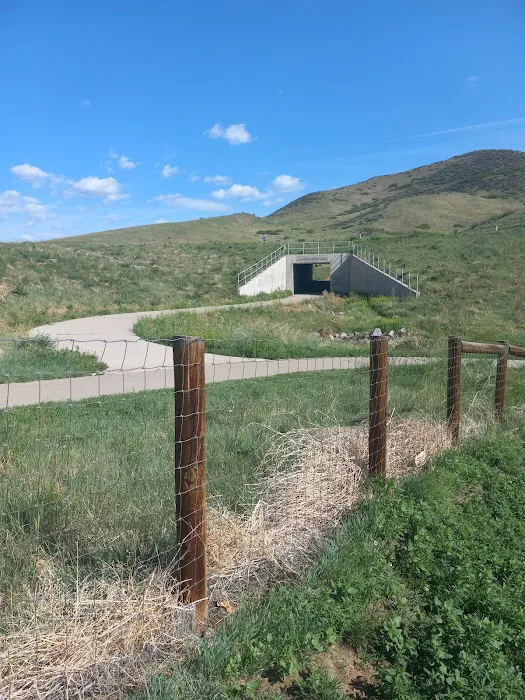 Forsberg Off-Leash Dog Park 1