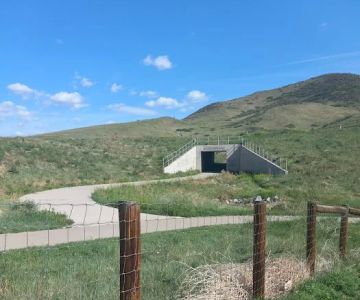Forsberg Off-Leash Dog Park
