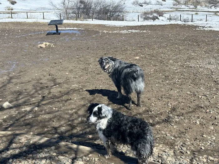 Forsberg Off-Leash Dog Park 4
