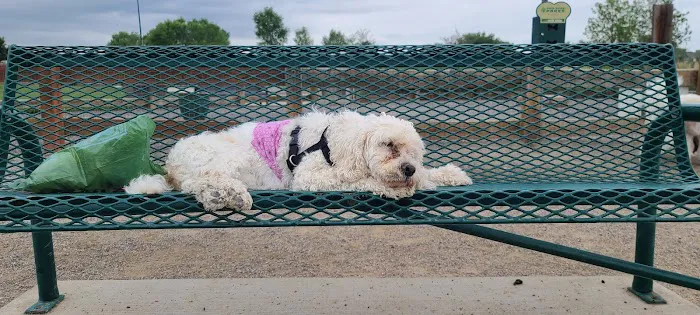Big Dry Creek Park-Dog PARK 4