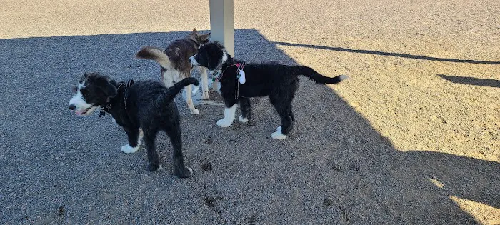 Big Dry Creek Park-Dog PARK 5