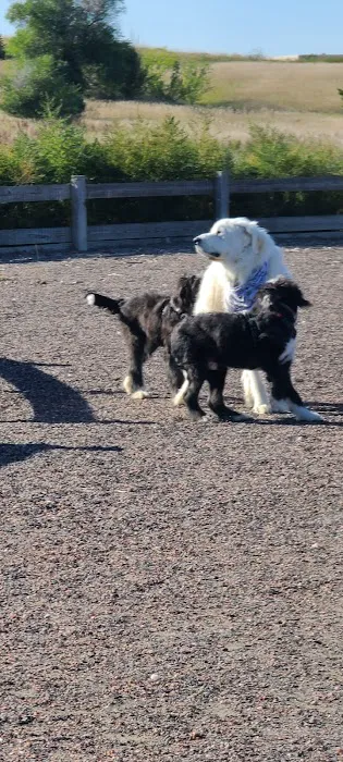 Big Dry Creek Park-Dog PARK 7