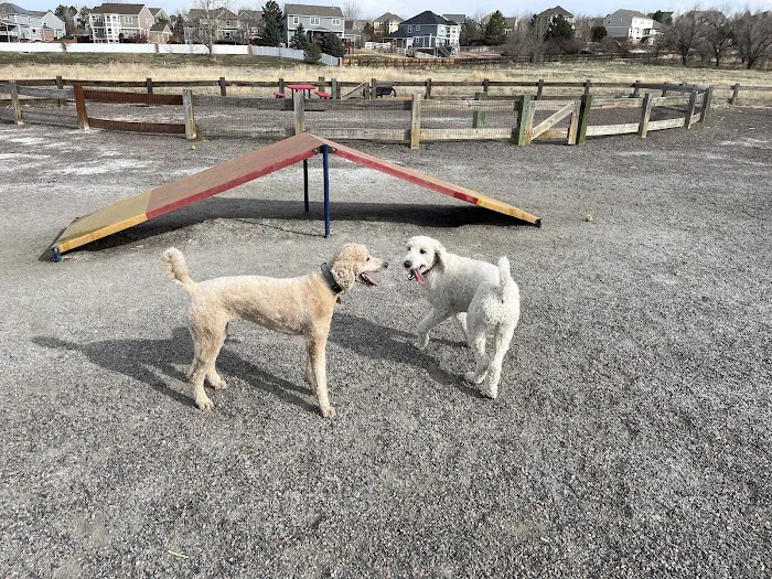 Big Dry Creek Park-Dog PARK 10