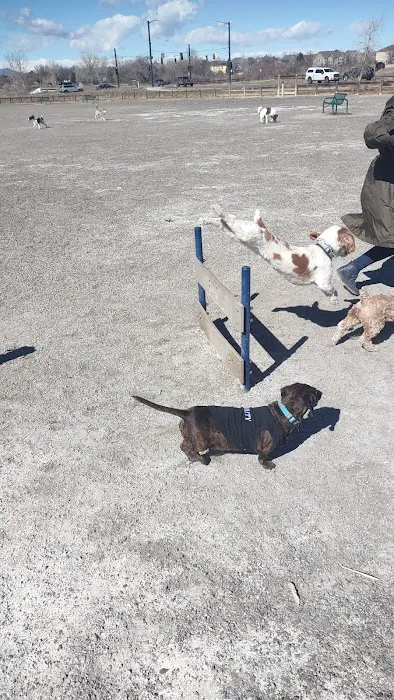 Big Dry Creek Park-Dog PARK 6