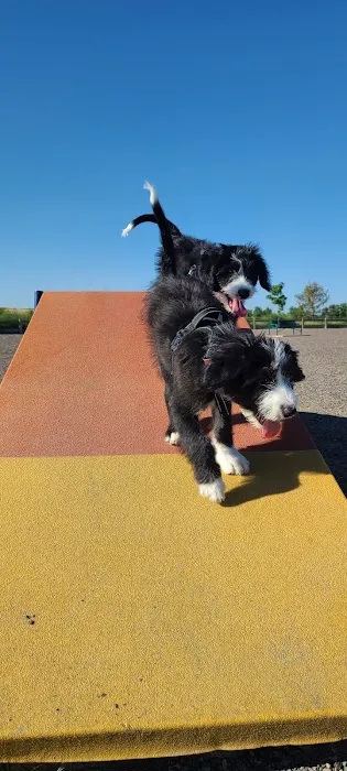 Big Dry Creek Park-Dog PARK 2