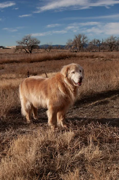 Big Dry Creek Park-Dog PARK 9