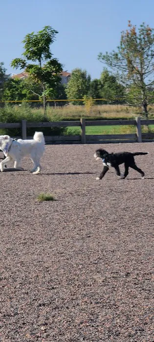 Big Dry Creek Park-Dog PARK 8
