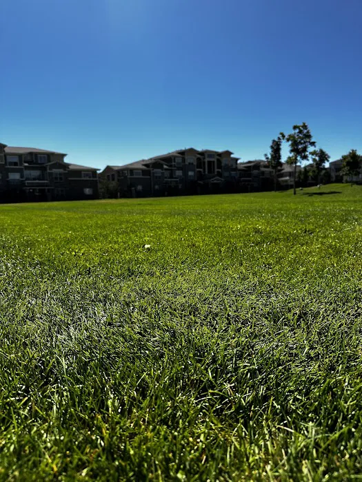 Del Corso Park 9