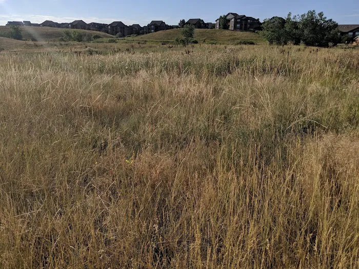 Autrey Park 7