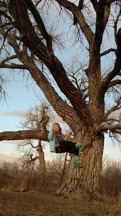 Autrey Park 8