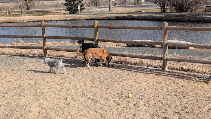 Louisville Community (Dog) Park 7