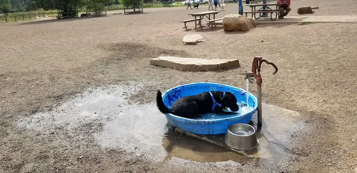 Louisville Community (Dog) Park 2