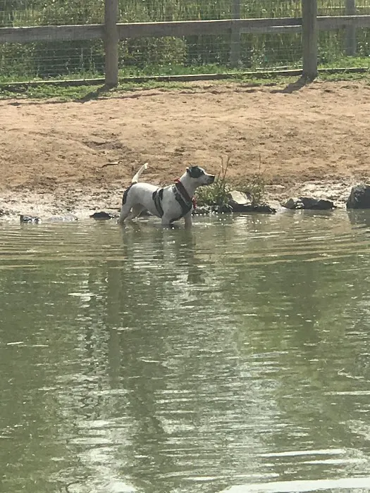 Louisville Community (Dog) Park 4
