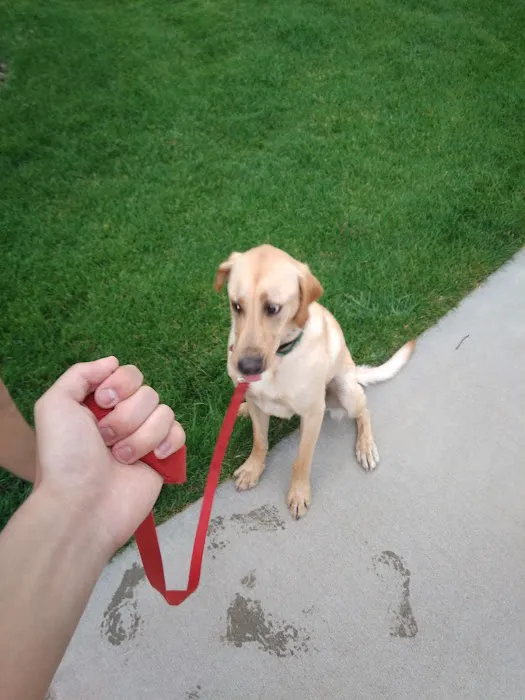 Louisville Community (Dog) Park 6