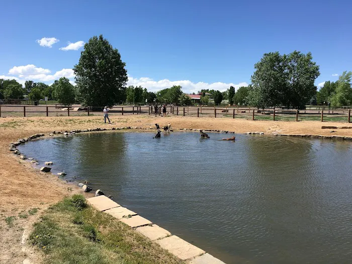 Louisville Community (Dog) Park 8