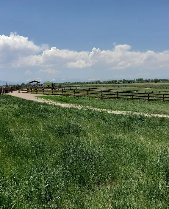 The Great Bark Dog Park 9