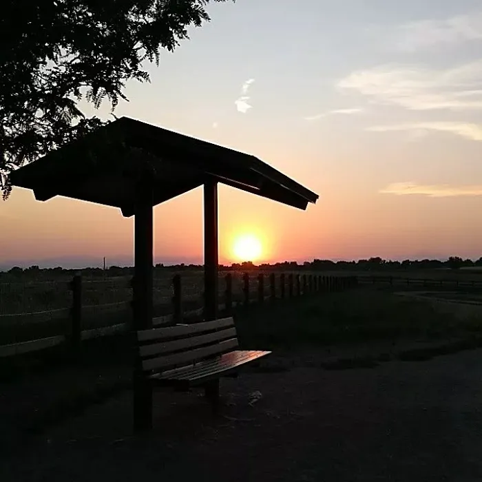 The Great Bark Dog Park 4