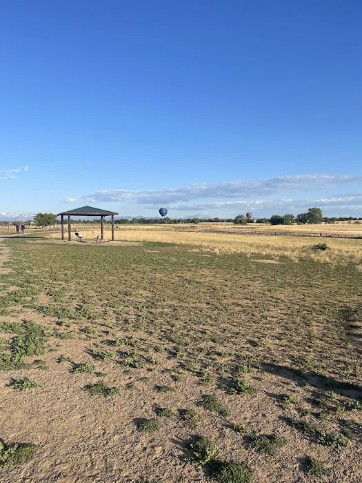 The Great Bark Dog Park 8