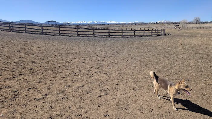 The Great Bark Dog Park 5
