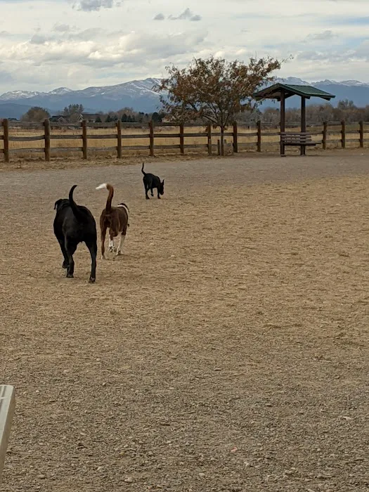 The Great Bark Dog Park 7
