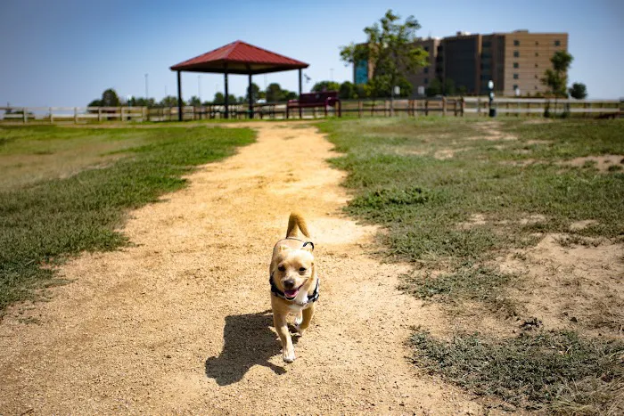 Happy Tails Dog Park 5