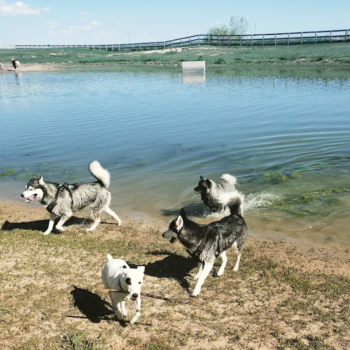 Happy Tails Dog Park 10
