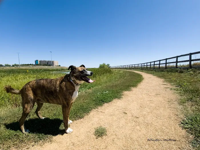 Happy Tails Dog Park 7