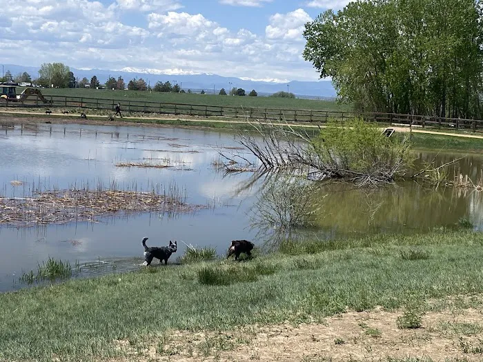 Happy Tails Dog Park 8