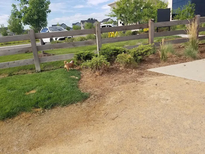 Crossing Bark Dog Park 10