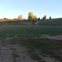 Wiggly Field Dog Park ico
