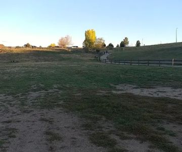 Wiggly Field Dog Park