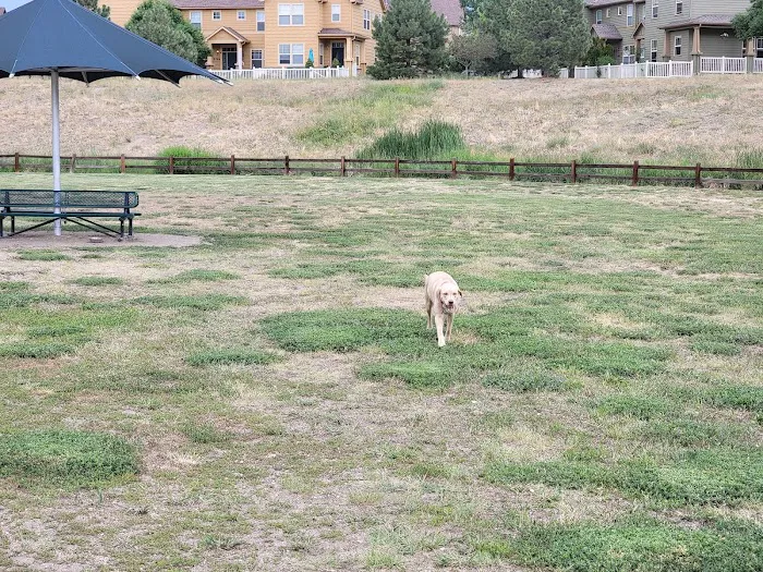 Wiggly Field Dog Park 4