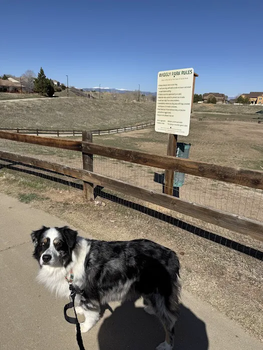 Wiggly Field Dog Park 3