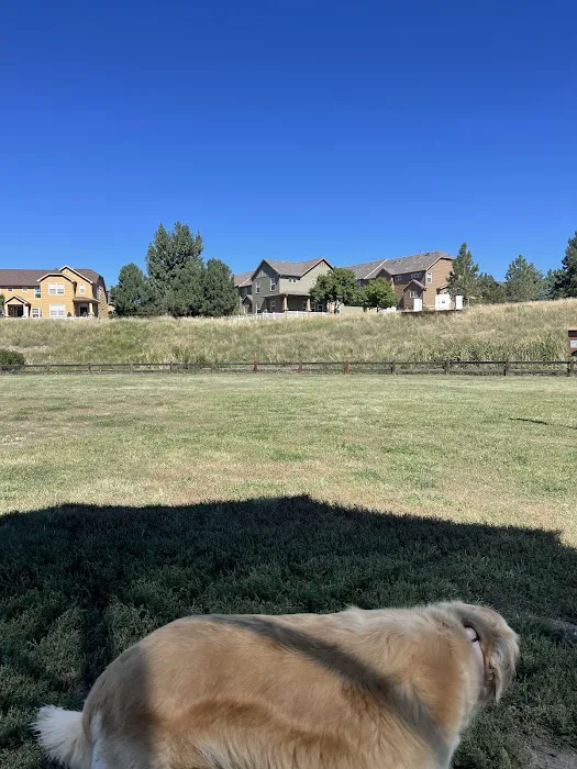 Wiggly Field Dog Park 6