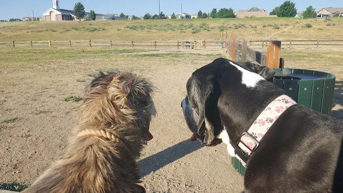 Wiggly Field Dog Park 7