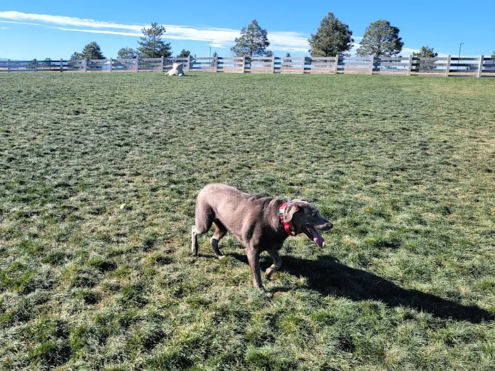 Bayou Gulch Dog Park 3