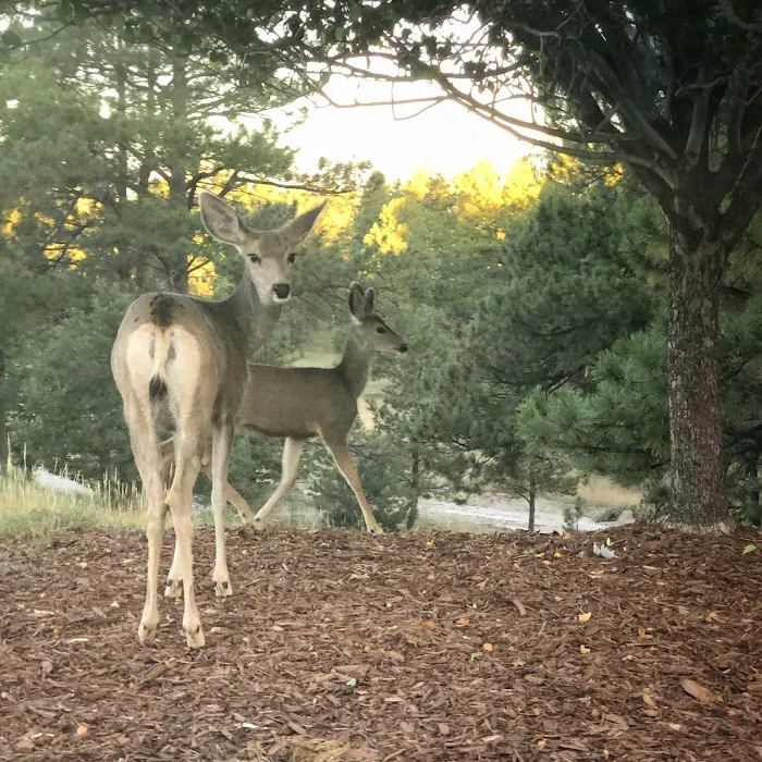 Bayou Gulch Dog Park 8