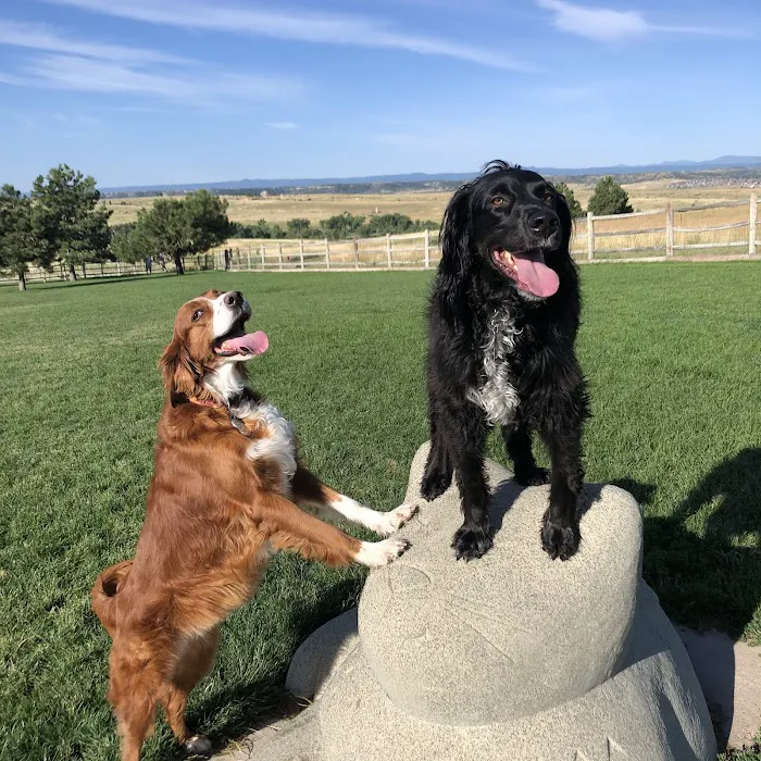 Bayou Gulch Dog Park 9