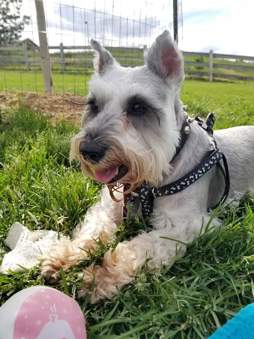 Douglas County Off-leash Area 5