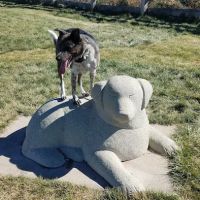 Douglas County Off-leash Area ico