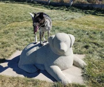 Douglas County Off-leash Area