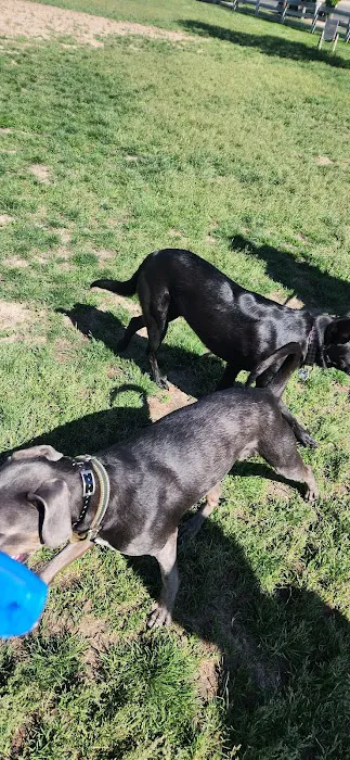 Douglas County Off-leash Area 2