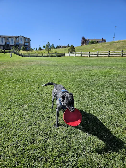 Douglas County Off-leash Area 6
