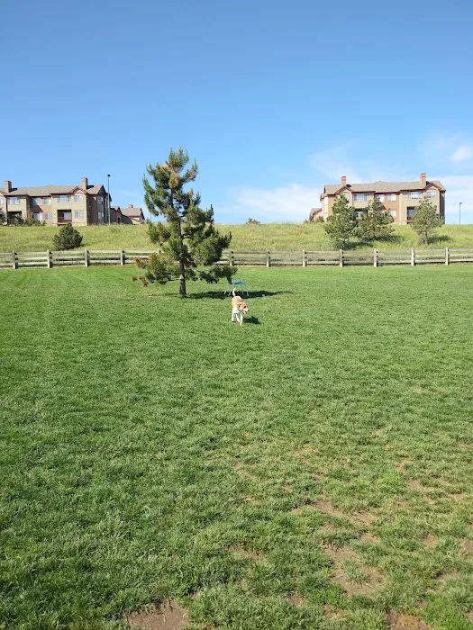 Douglas County Off-leash Area 10