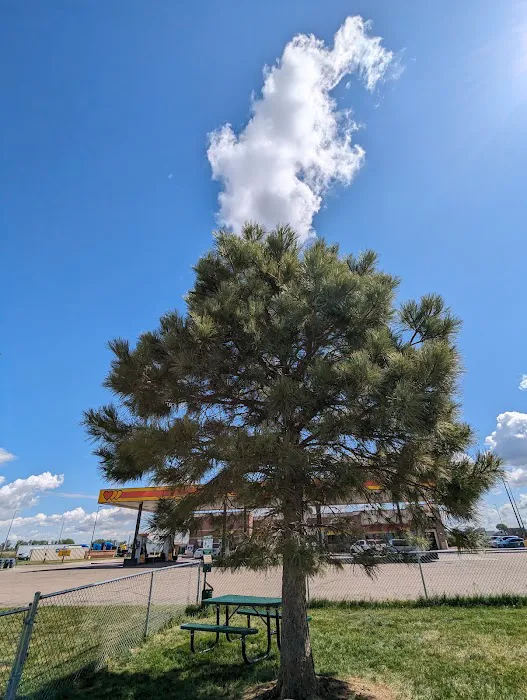 Dog Park at Love’s Travel Stops 5