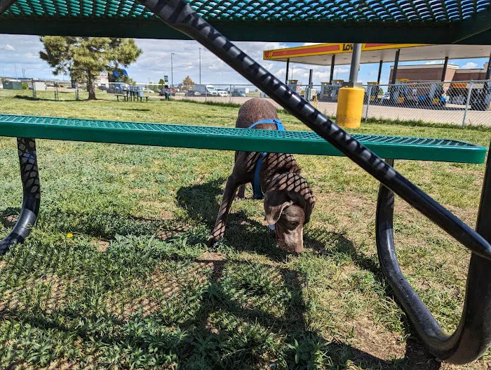 Dog Park at Love’s Travel Stops 4